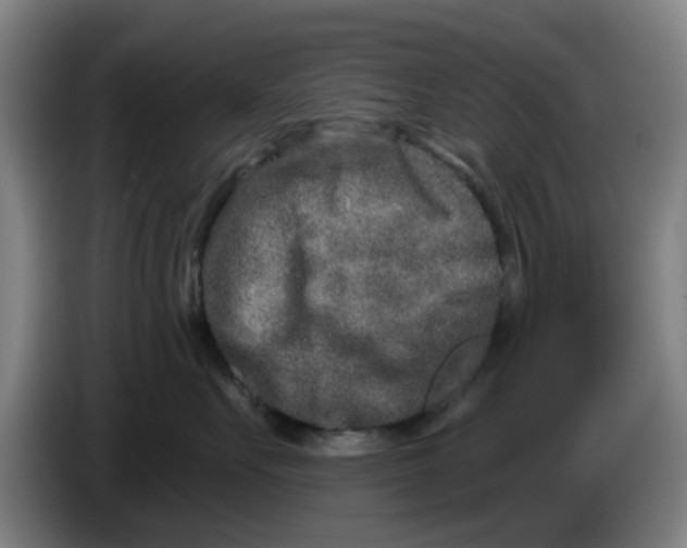 X0000086270527200704191927