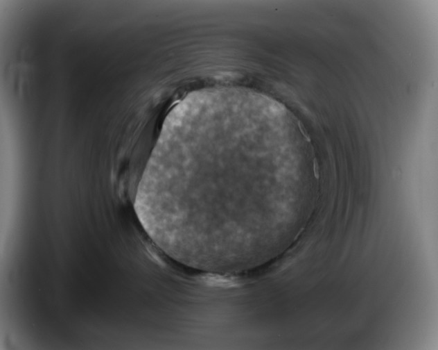 X0000086270528200704191927