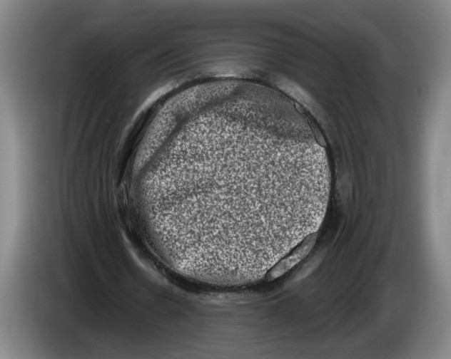 X0000086270530200704191927