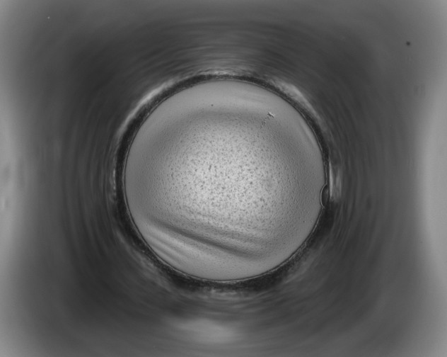 X0000086270531200704191927