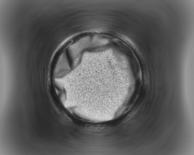 X0000086270532200704191927