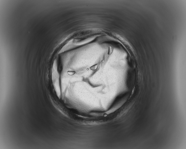 X0000086270533200704191927