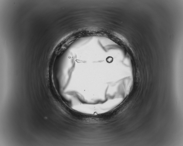 X0000086270535200704191927