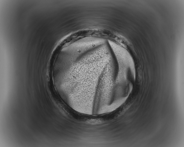 X0000086270536200704191927