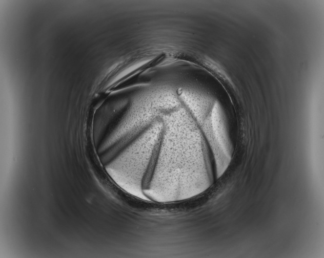 X0000086270538200704191927