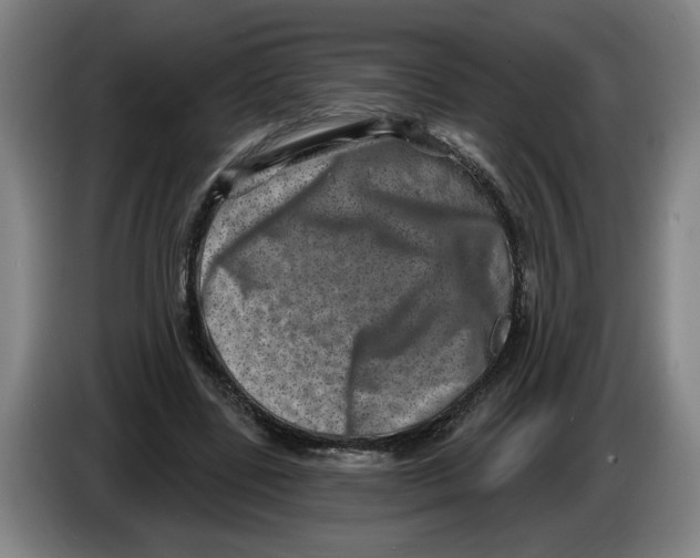 X0000086270539200704191927