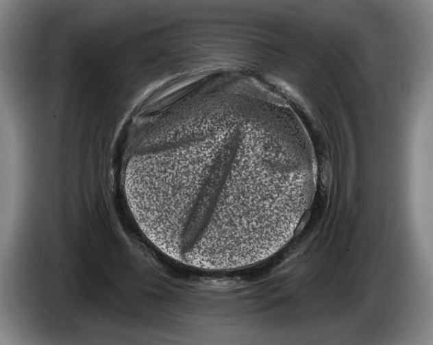 X0000086270540200704191927