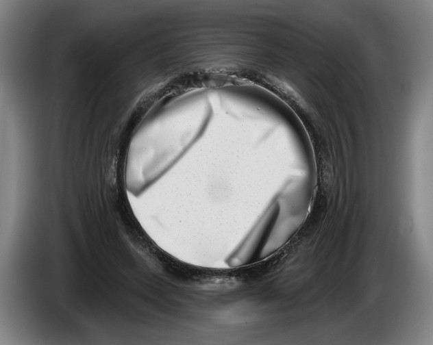 X0000086270543200704191927