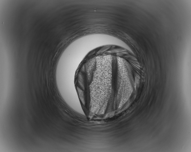 X0000086270552200704191927