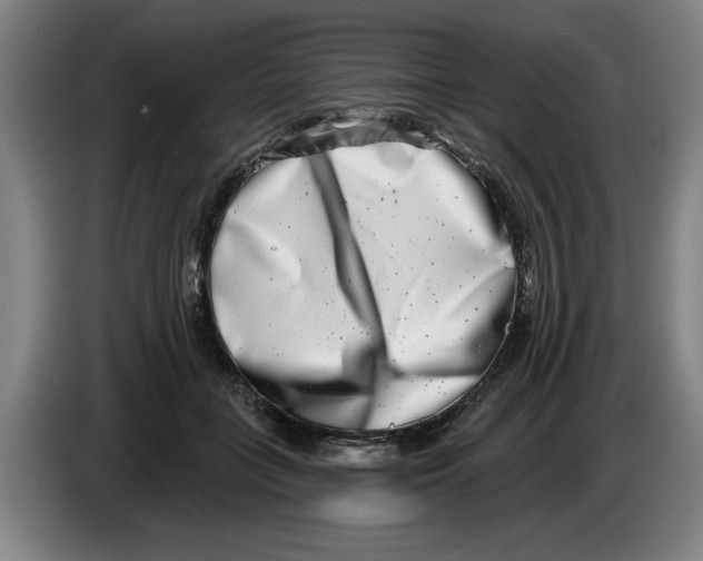 X0000086270555200704191927