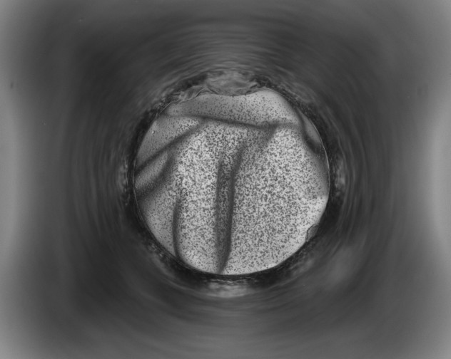 X0000086270559200704191927