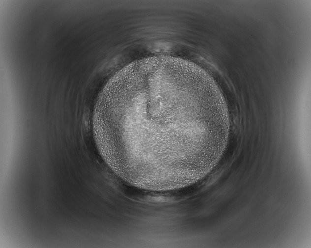 X0000086270561200704191927