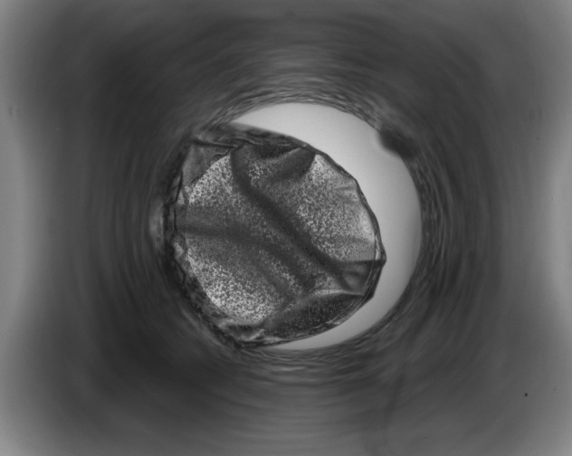 X0000086270562200704191927