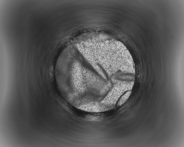 X0000086270563200704191927