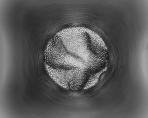 X0000086270565200704191927