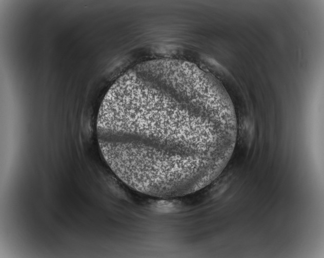 X0000086270566200704191927