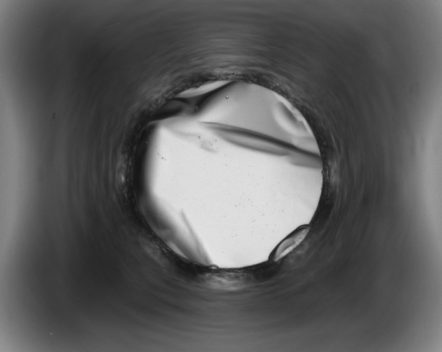 X0000086270567200704191927