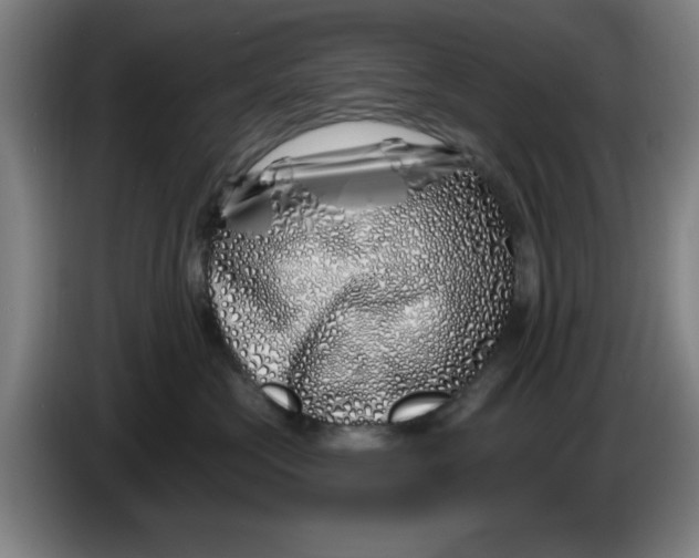 X0000086270573200704191927