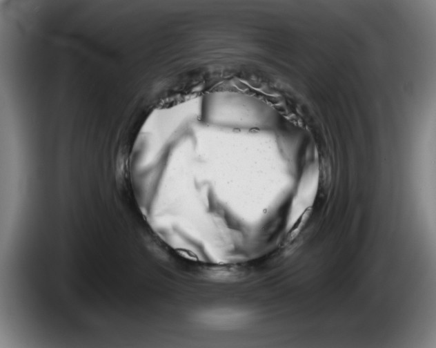 X0000086270574200704191927