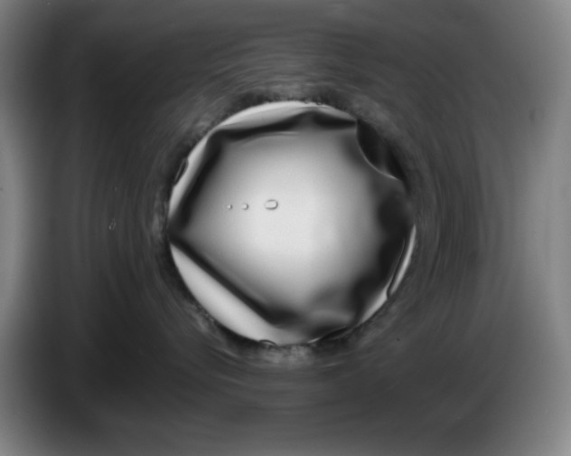 X0000086270576200704191927