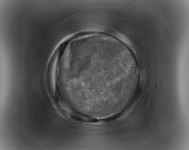 X0000086270580200704191927