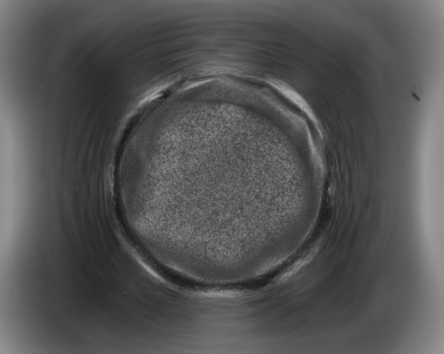 X0000086270581200704191927