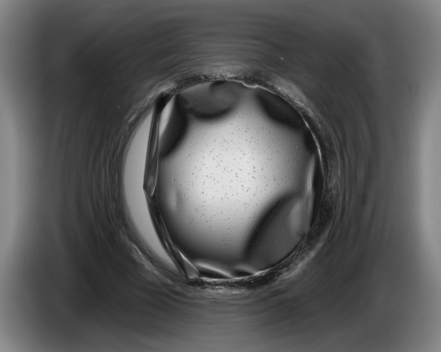 X0000086270585200704191926