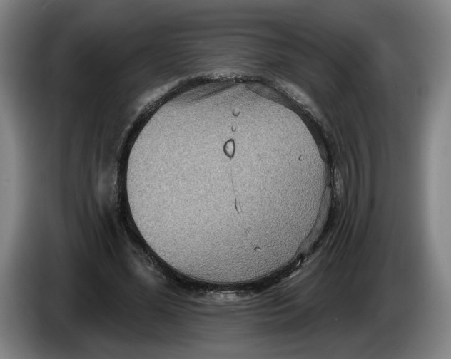 X0000086270588200704191926