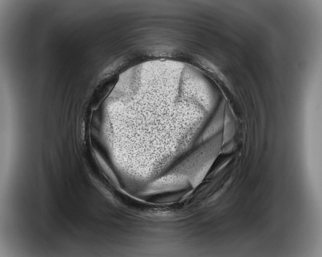 X0000086270589200704191926