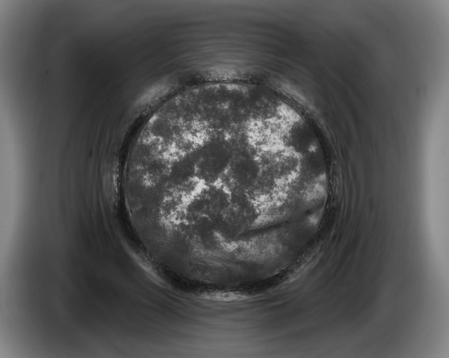 X0000086270590200704191926