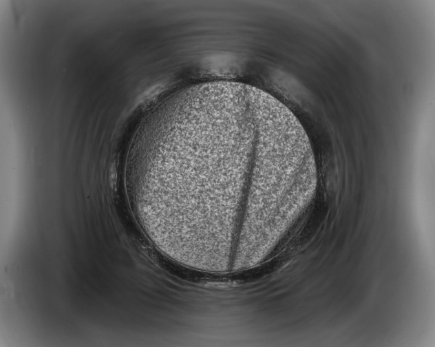 X0000086270595200704191926