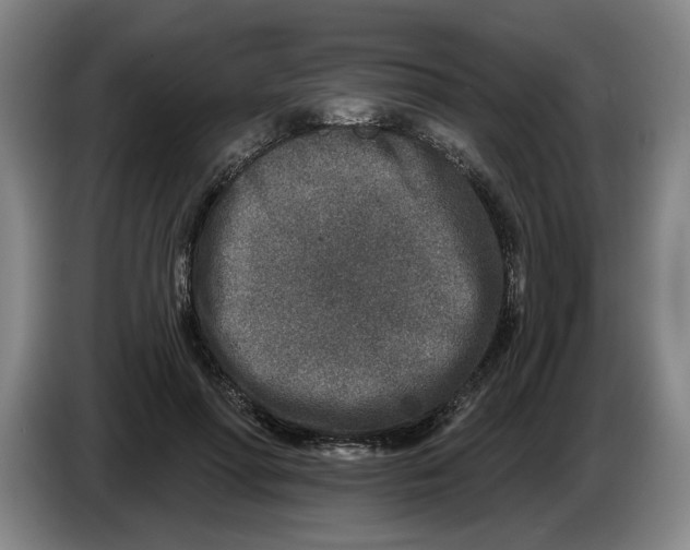 X0000086270598200704191926