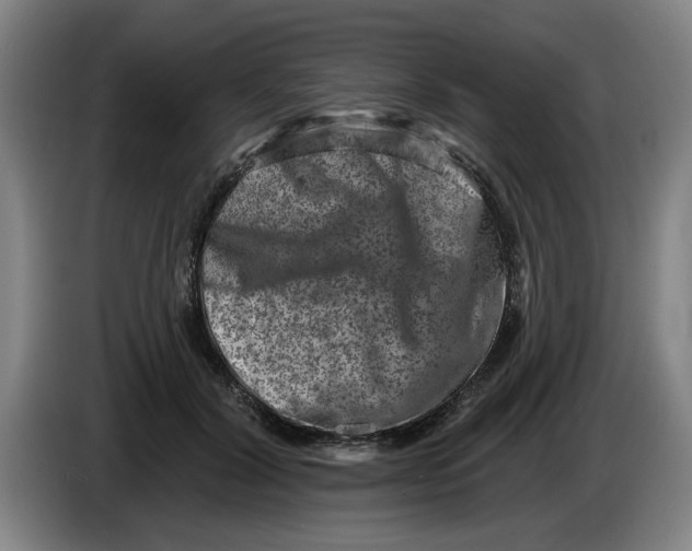 X0000086270604200704191926