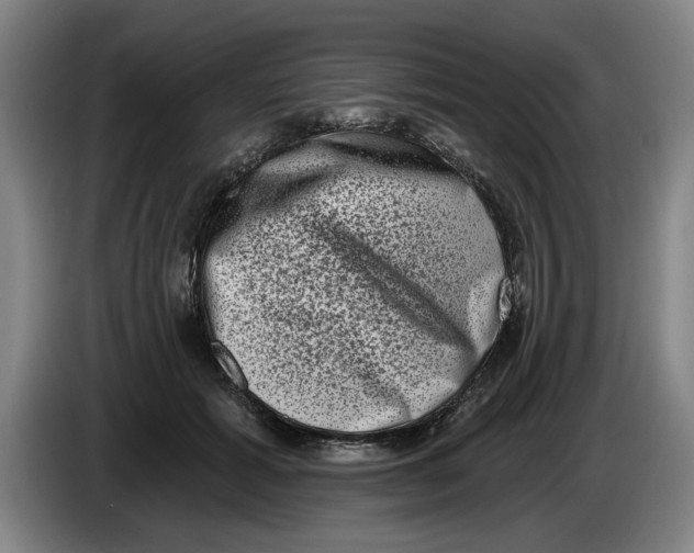 X0000086270605200704191926