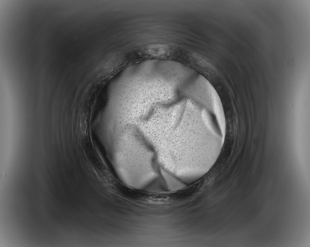 X0000086270606200704191926