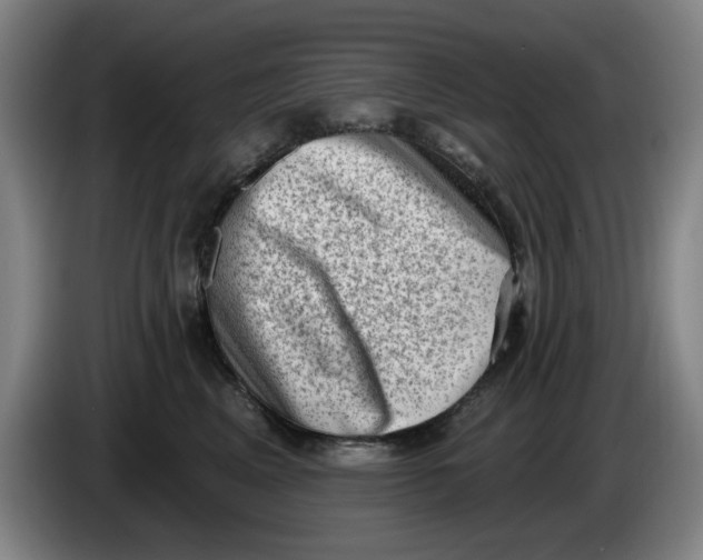 X0000086270617200704191926