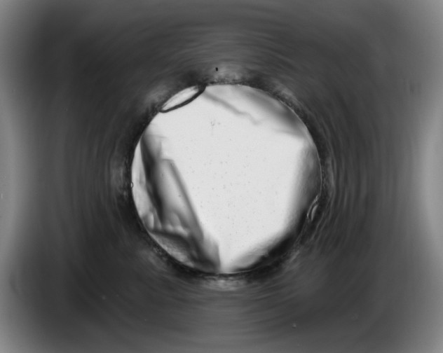 X0000086270619200704191926