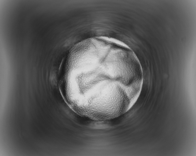 X0000086270622200704191926