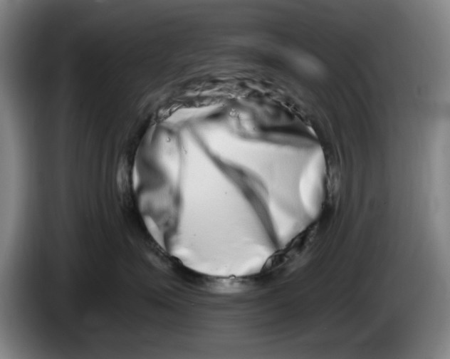 X0000086270623200704191926