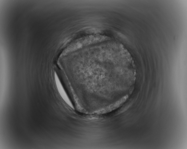 X0000086270624200704191926