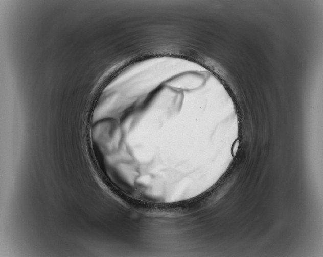 X0000086270625200704191925