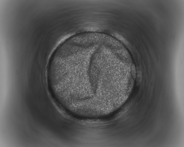 X0000086270626200704191925