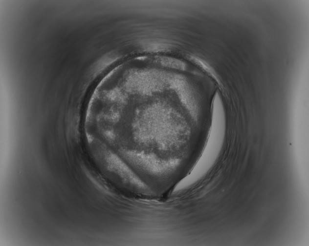 X0000086270627200704191925