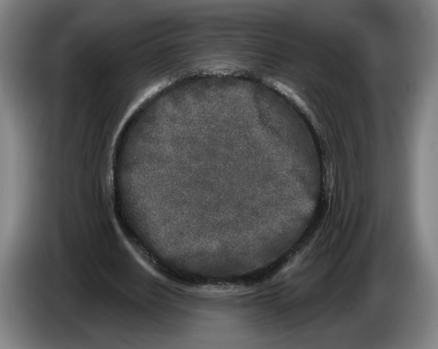 X0000086270630200704191925