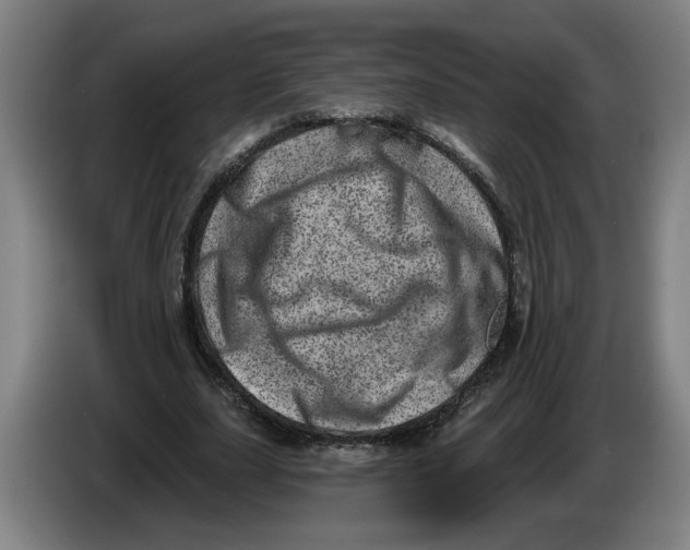 X0000086270631200704191925