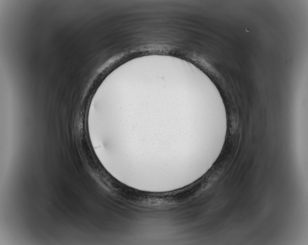 X0000086270632200704191925