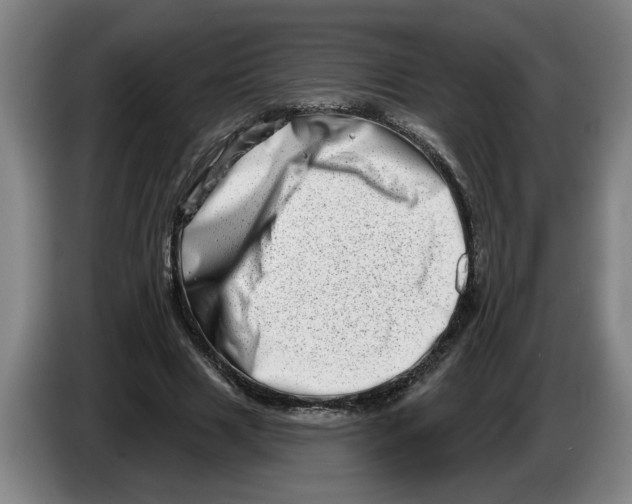 X0000086270633200704191925