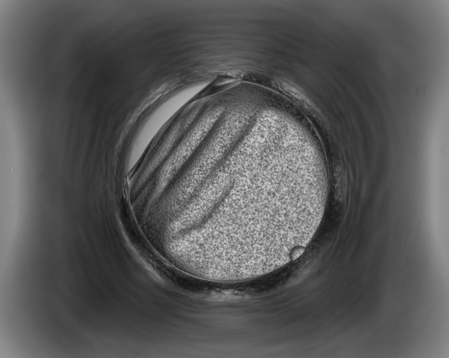 X0000086270634200704191925