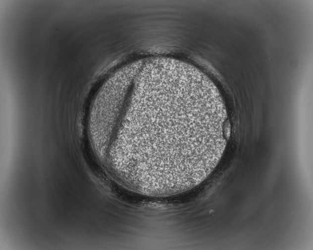 X0000086270635200704191925