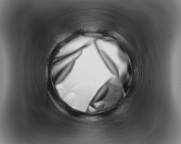 X0000086270638200704191925